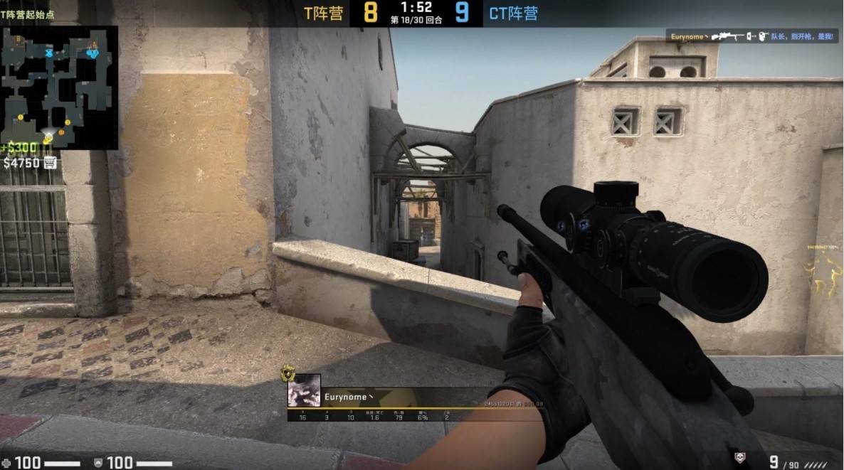 的成长期 的成长期