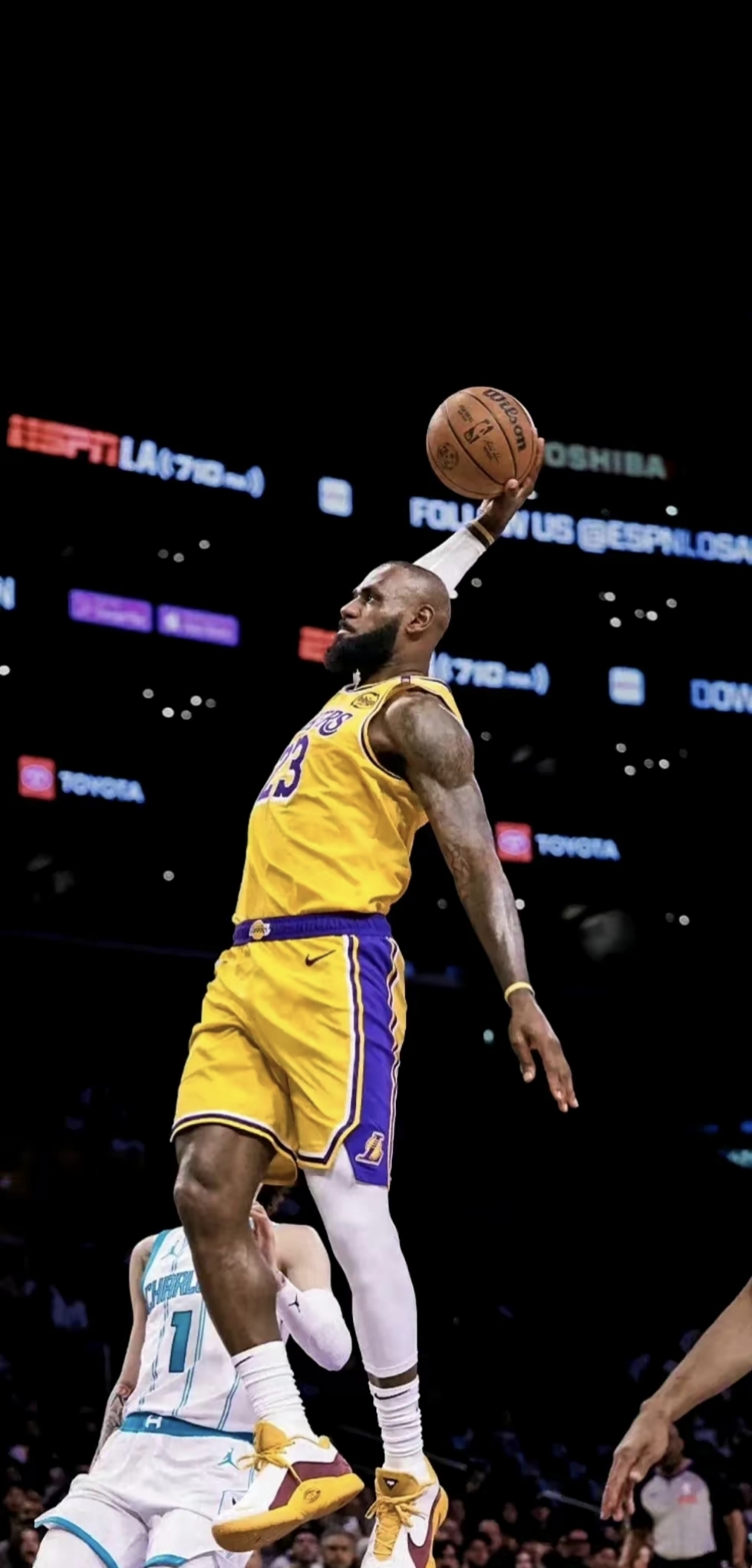 到以下信号 到以下信号